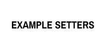 Example Setters Logo